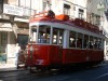 Eléctricos e Elevadores de Lisboa / Lisbon's Trams